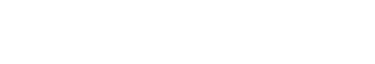 MrPunter